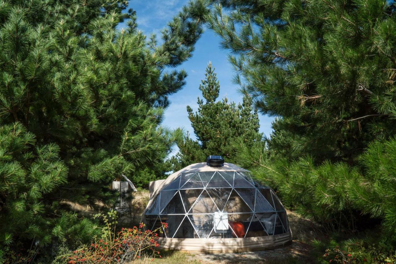 Mt Gold Glamping Hotel Wanaka Eksteriør billede